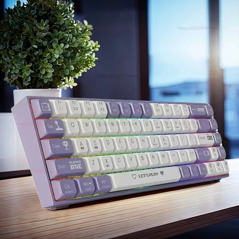 65% Gaming Mechanical Keyboard Wired Wireless Bluetooth Gamer Keyboard Hot Swap Custom Keycap Gasket for Pc Laptop