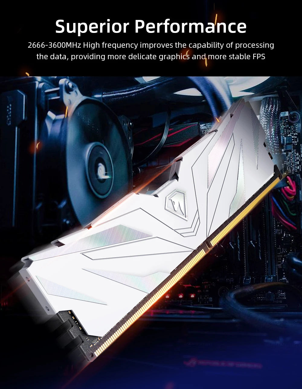 Netac DDR4 RAM Memory DDR4 32GB 16GB 8GB DDR5 4800MHz Memoria RAM DDR4 3200MHz 3600MHz 2666MHz XMP for AMD Intel Motherboard